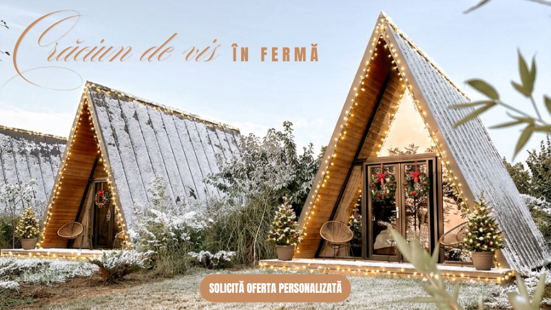 Craciun de vis in ferma la Perryland